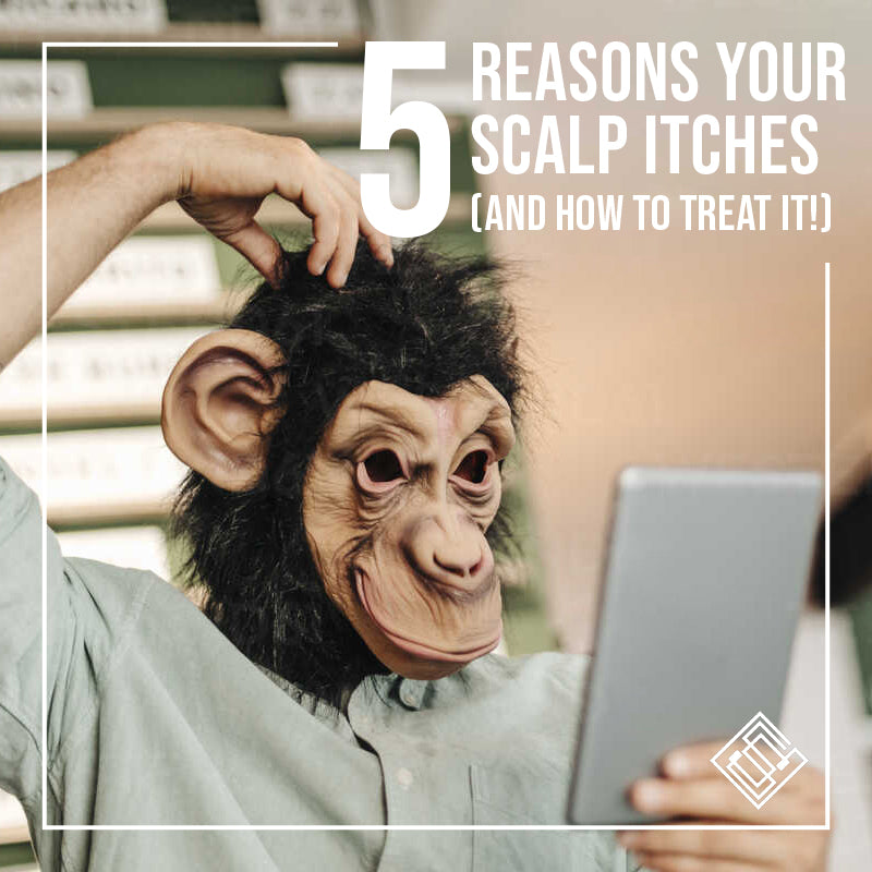 5 Reasons Your Scalp Itches (And How To Treat It!)